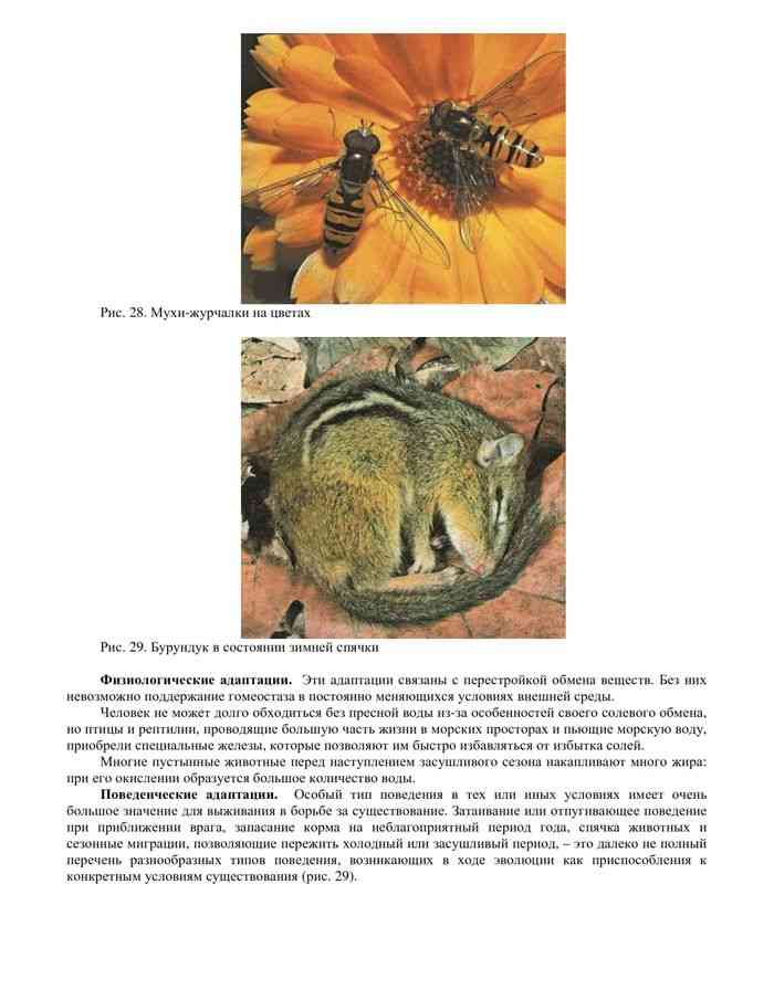 Учебник Биология 11 класс Сивоглазов Агафонова Захарова читать онлайн